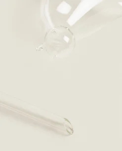 Flowerpots*ZARA Home Borosilicate Glass Self-Watering Bubble Transparent