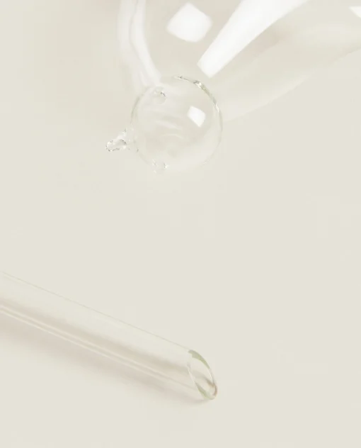 Flowerpots*ZARA Home Borosilicate Glass Self-Watering Bubble Transparent