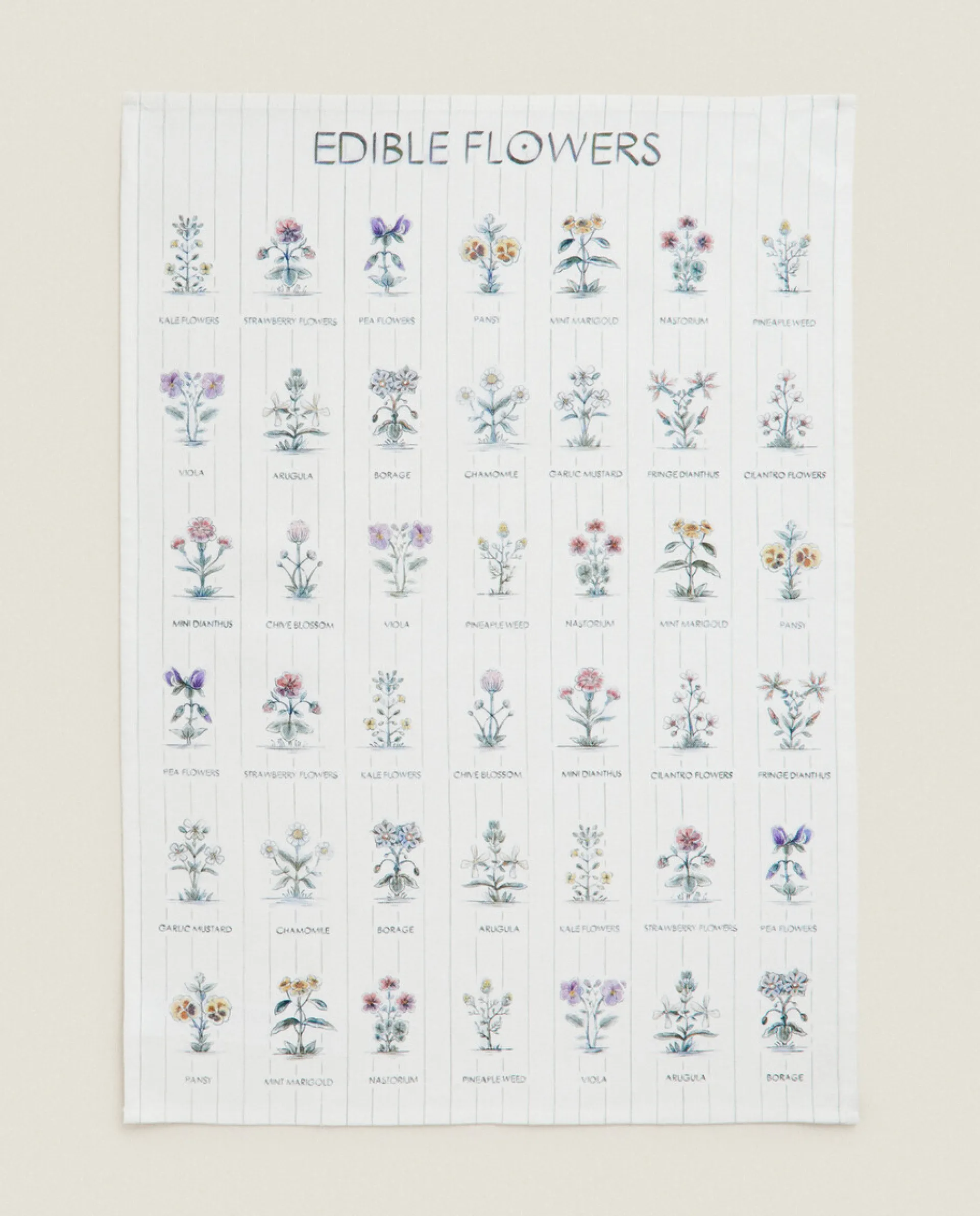 Garden*ZARA Home Check And Floral Print Cotton Tea Towel (Pack Of 2) Blue