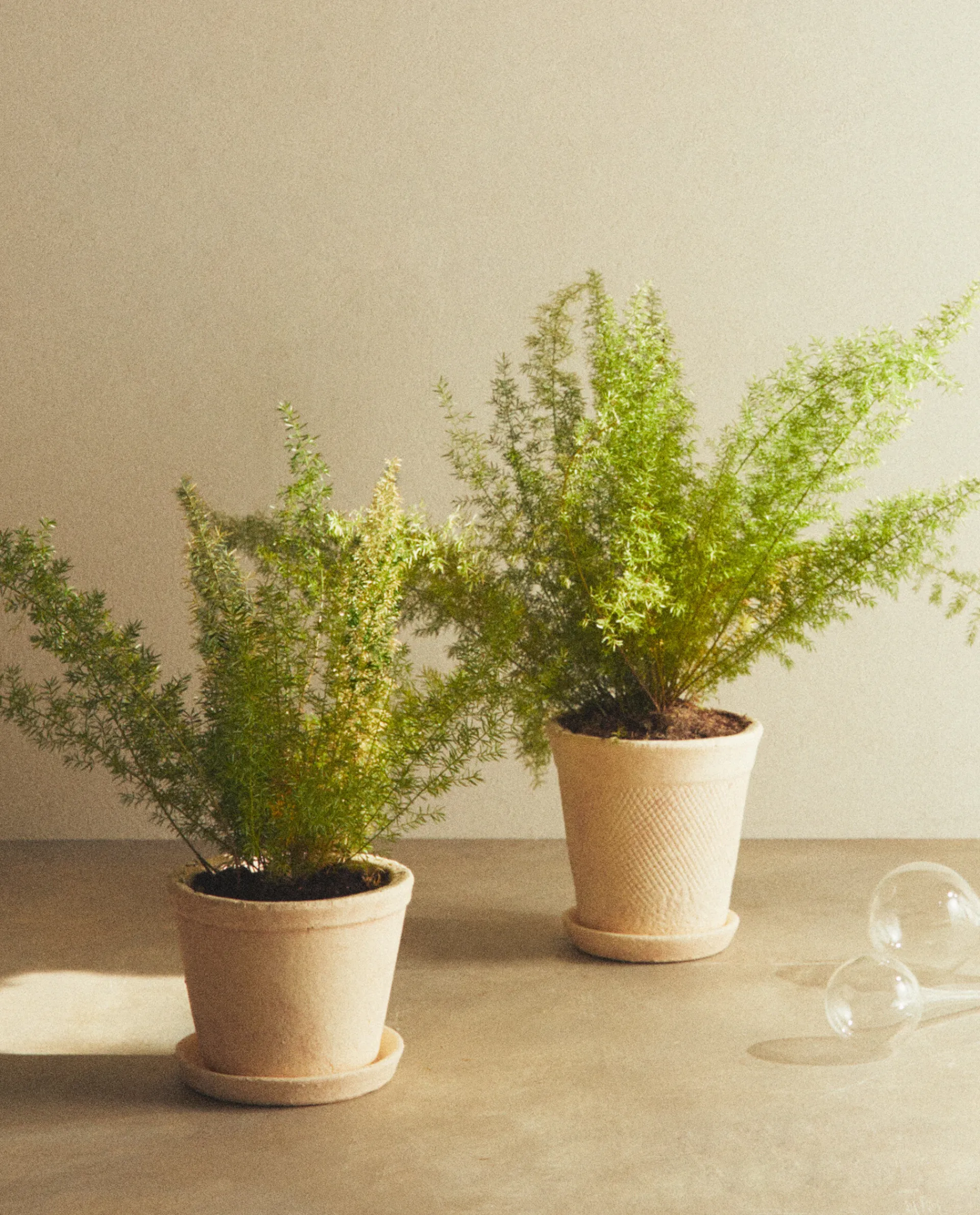 Flowerpots*ZARA Home Clay Flowerpot White