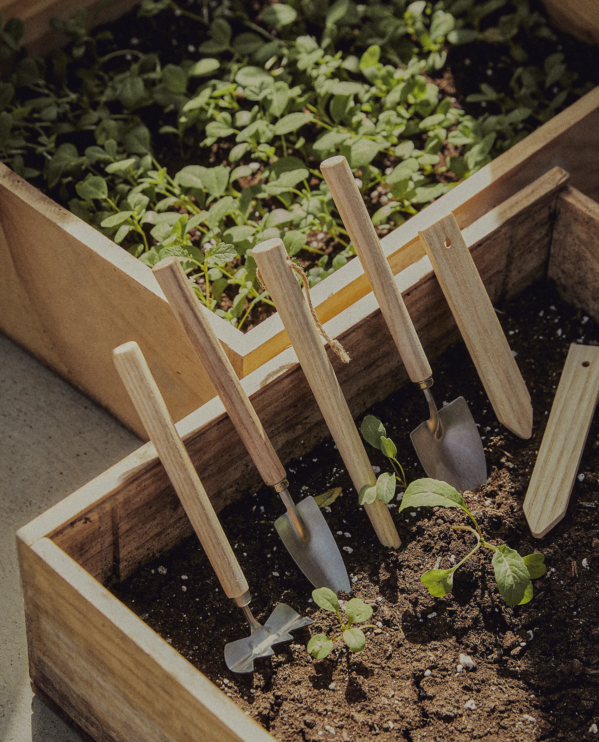 Garden*ZARA Home Garden Utensils (Set Of 6) Natural Colour