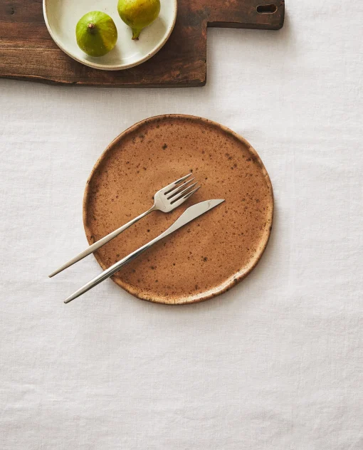 Dinner Plates*ZARA Home Terracotta Dinner Plate 4-718